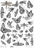 owady, motyle, pszczoły, osy, trzmiele, ważki*insects, butterflies, bees, wasps, bumblebees, dragonflies*Insekten, Schmetterlinge, Bienen, Wespen, Hummeln, Libellen*insectos, mariposas, abejas, avispas, abejorros, libélulas